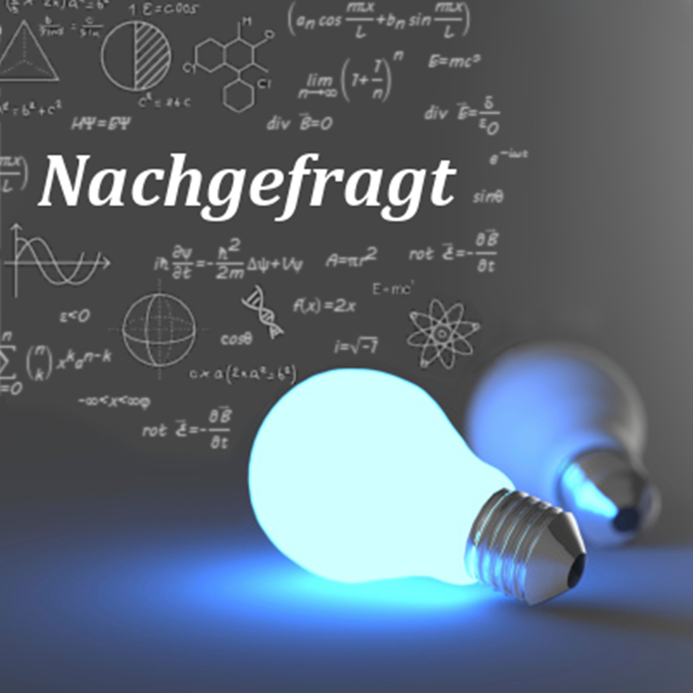 Nachgefragt Podcast artwork